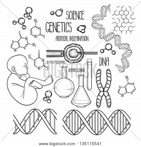 Graphic genetic vector photo free trial bigstock