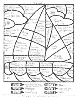 Genetics coloring by chrissy mccann tpt