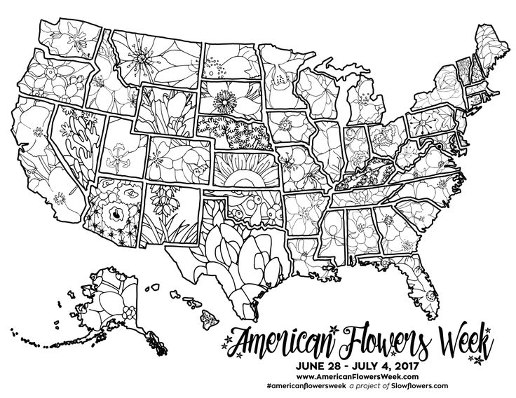 Usa state flower coloring map alabamacamellia pdf alaskaforget