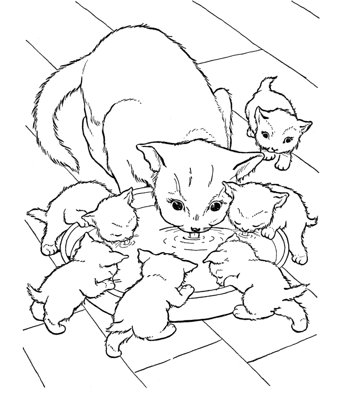 Free printable cat coloring pages for kids animal coloring pages cat coloring page cute coloring pages