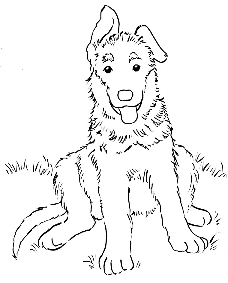 German shepherd puppy coloring page