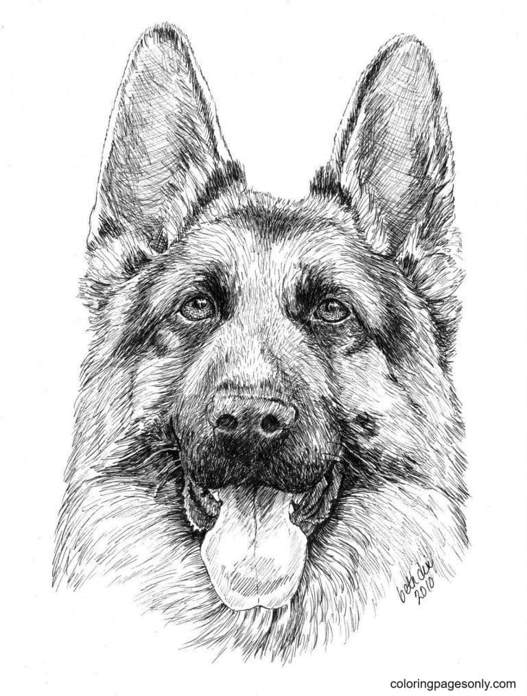 German shepherd coloring pages printable for free download