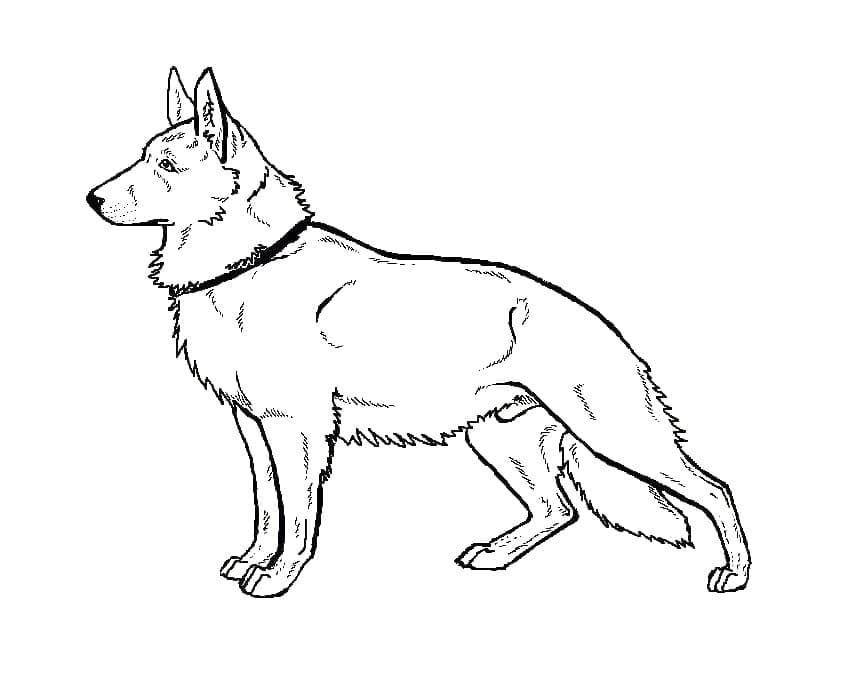 German shepherd dog coloring page