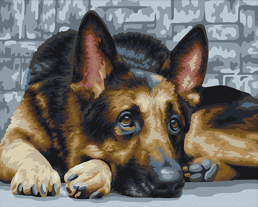 Paint by number kit german shepherd dog