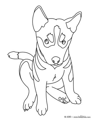 Dog coloring pages