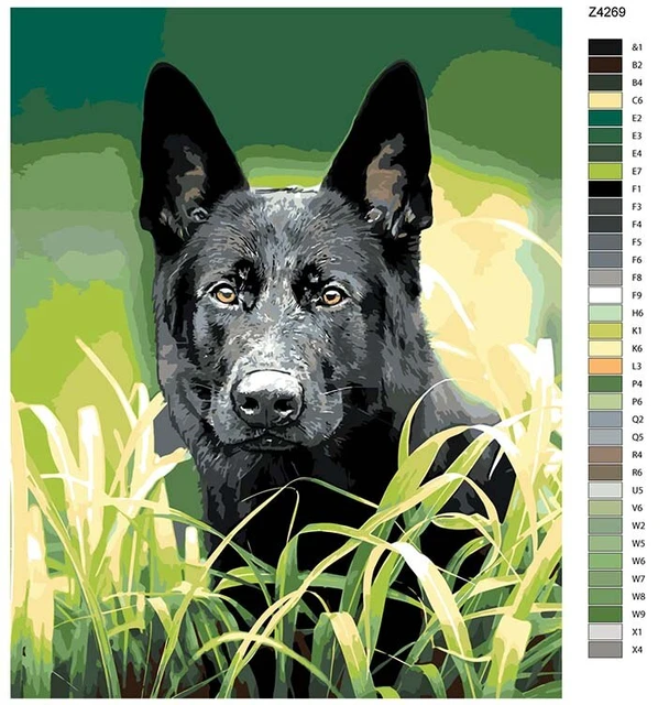 Painting by numbers painting by numbers black german shepherd x cm z