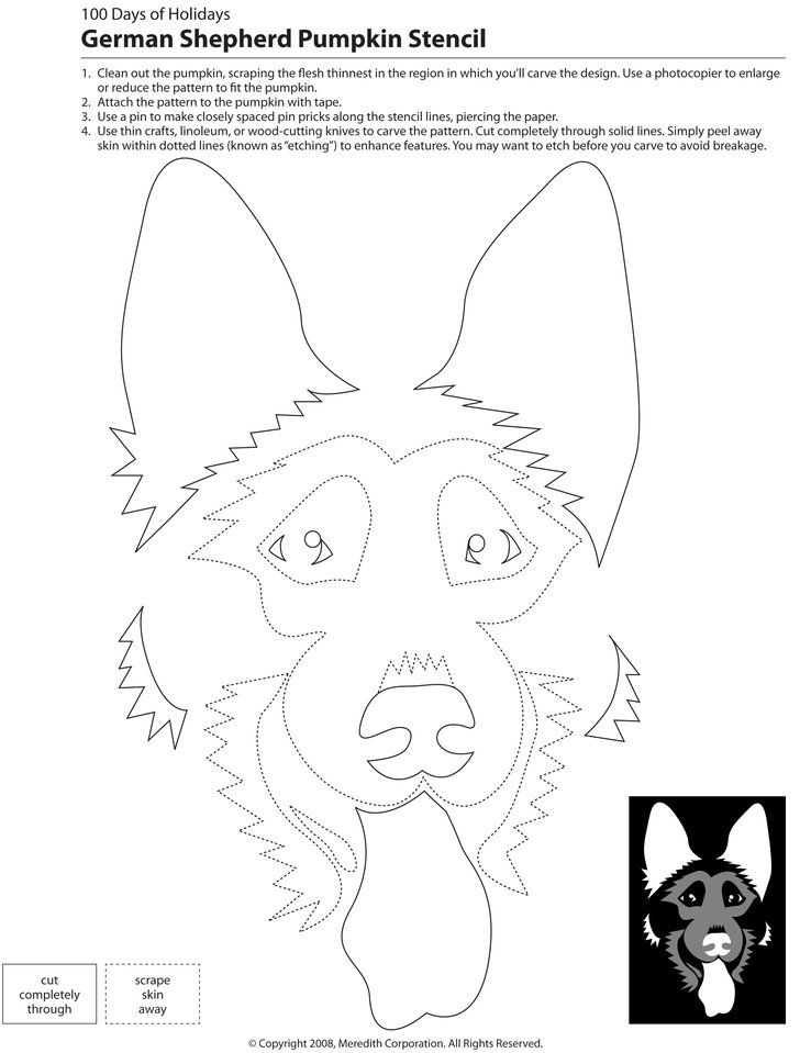 Dogs cats and other pets downloadable dog breed pumpkin stencils dog stencil pumpkin carvings stencils pumpkin stencil