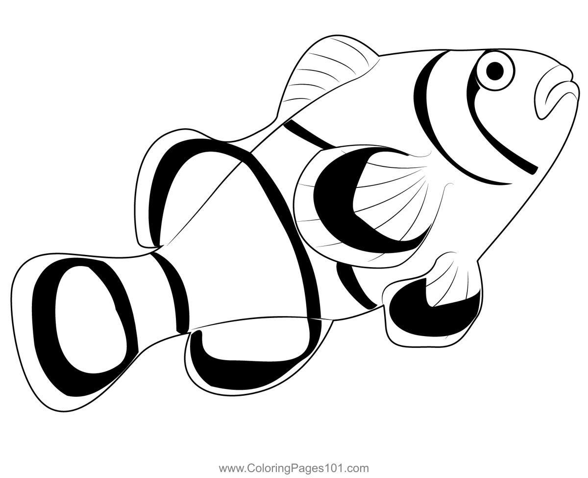 Clown fish coloring page for kids