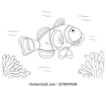 Clown fish coloring page anemone wildlife stock vector royalty free