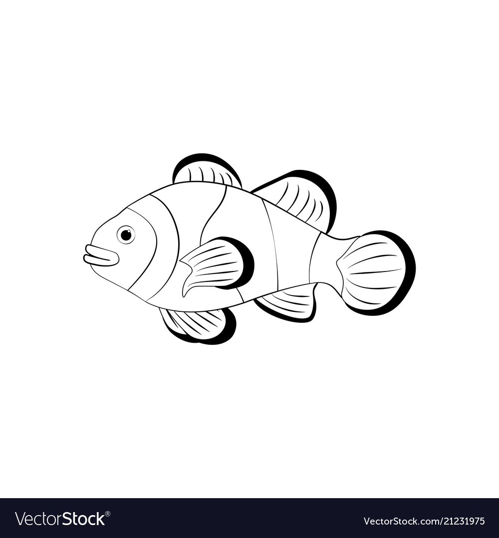 Clownfish coloring pages royalty free vector image