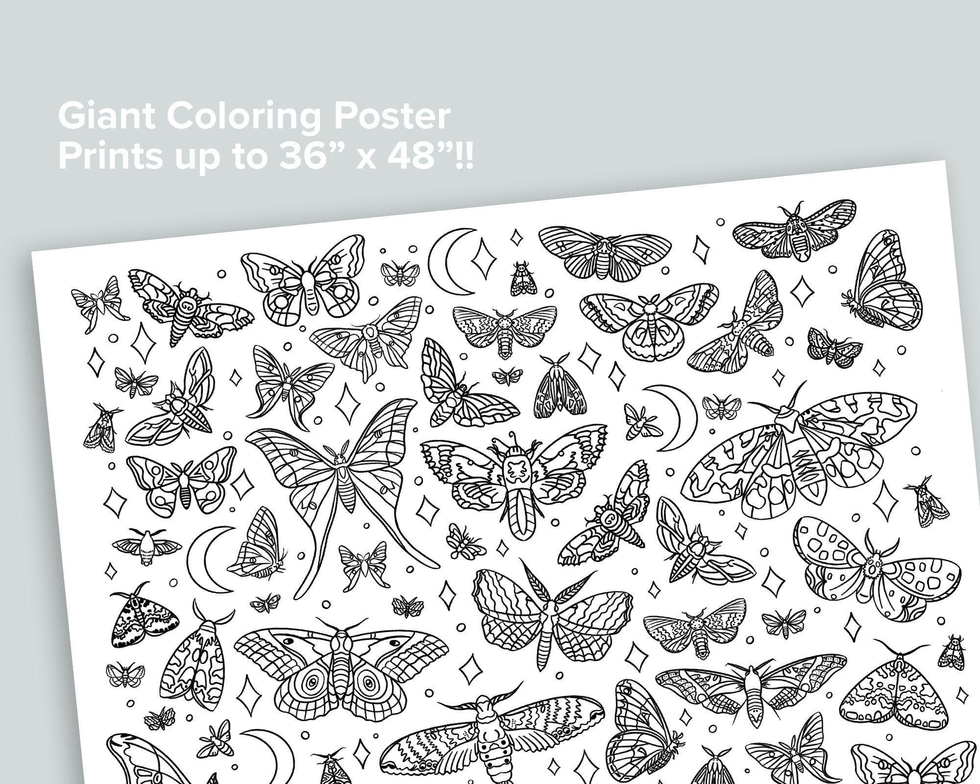 Giant moth coloring poster homeschool printables black and white large coloring pages night sky moon moths stars