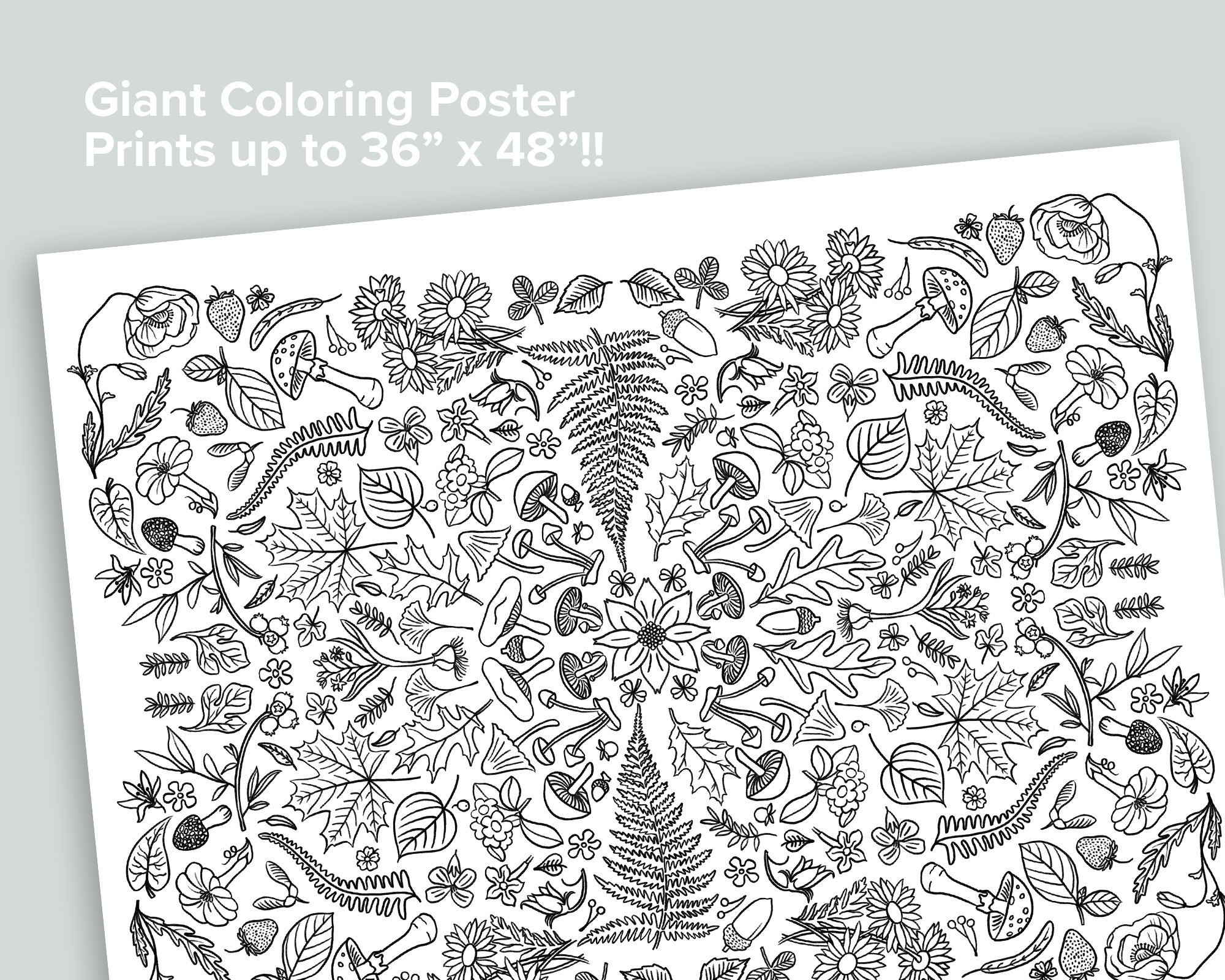 Giant nature coloring poster homeschool printables black and white large coloring pages fern mushroom flower bees moth botany