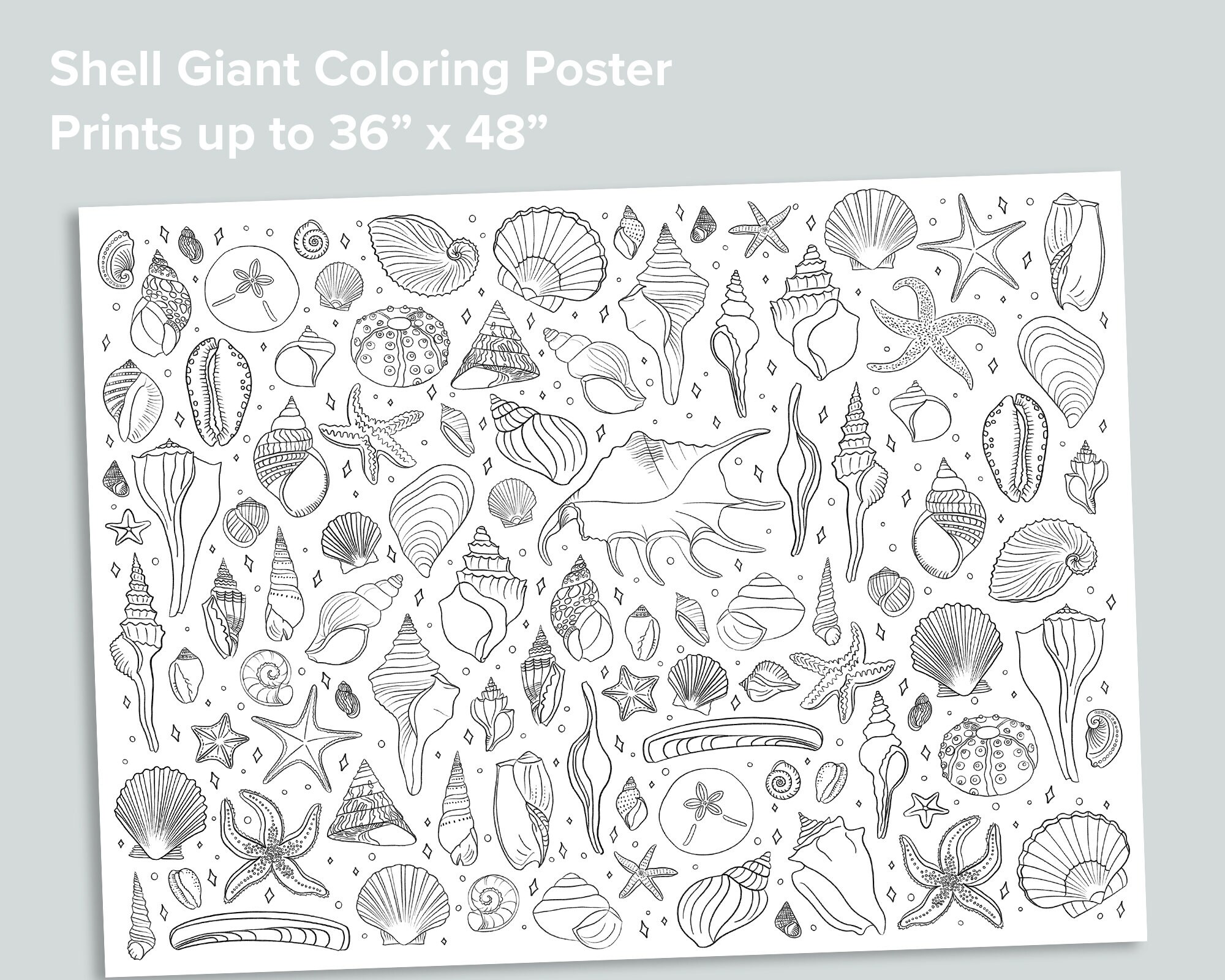 Seashell giant coloring poster homeschool printables black