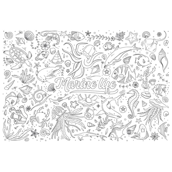 Big coloring sheet for kids huge coloring sheets x coloring sheet sea life coloring homeschool drawing