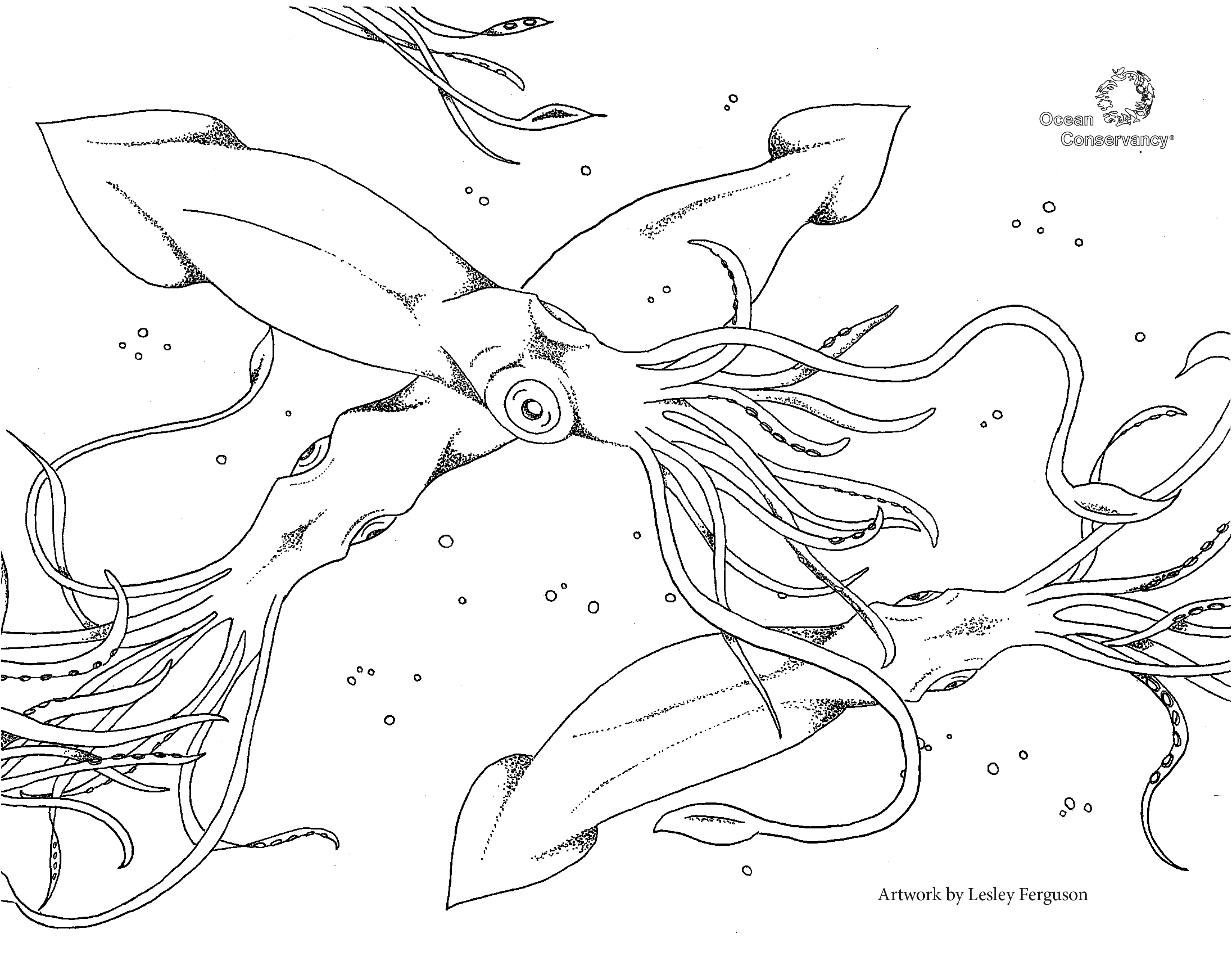 Sustainable fisheries fish coloring pages