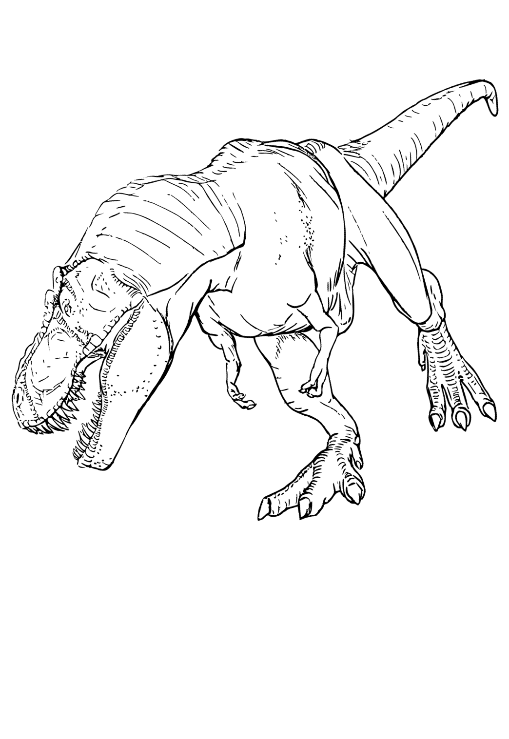 Free printable giganotosaurus real coloring page for adults and kids