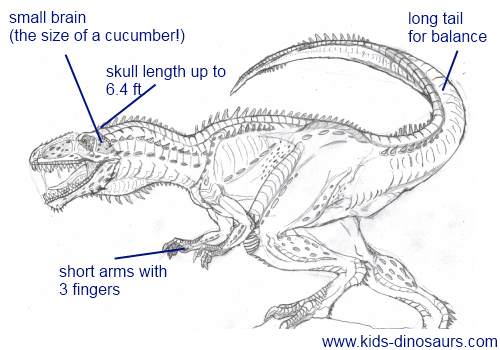 Giganotosaurus