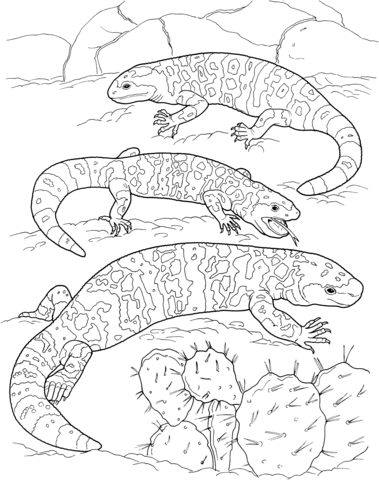 Three gila monsters coloring page from gila monster category select from printable â monster coloring pages animal coloring pages desert animals coloring