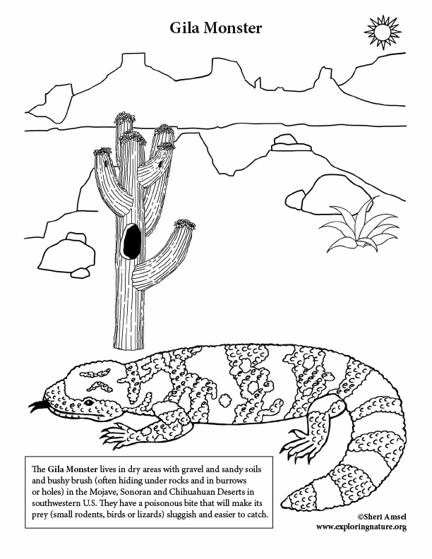 Desert gila monster coloring page