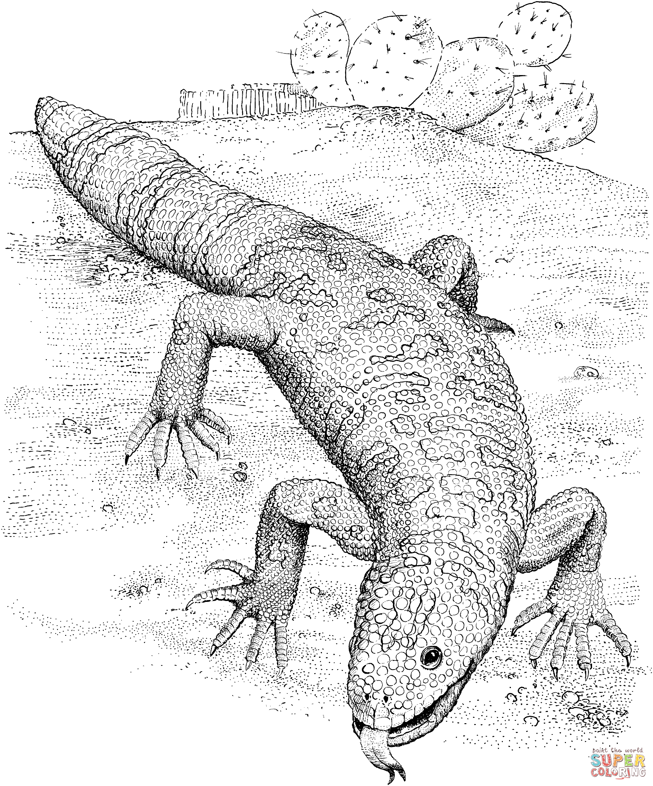 Gila monster coloring page free printable coloring pages