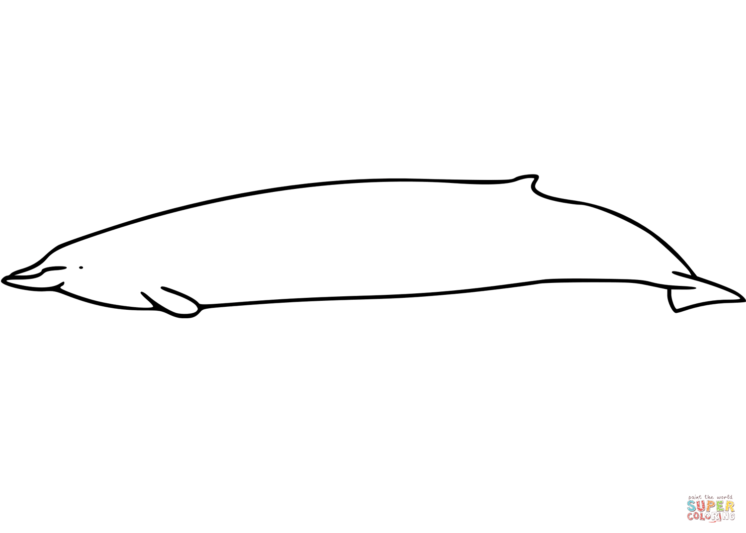 Bairds beaked whale coloring page free printable coloring pages