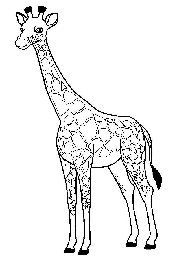 Giraffes coloring pages printable for free download