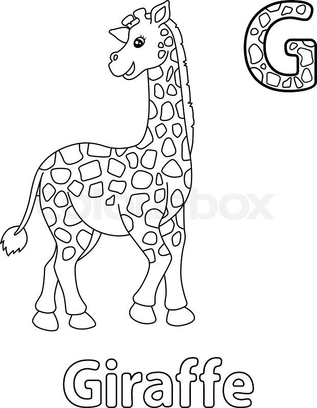 Giraffe alphabet abc coloring page g stock vector