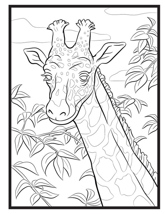 Giraffe single coloring page