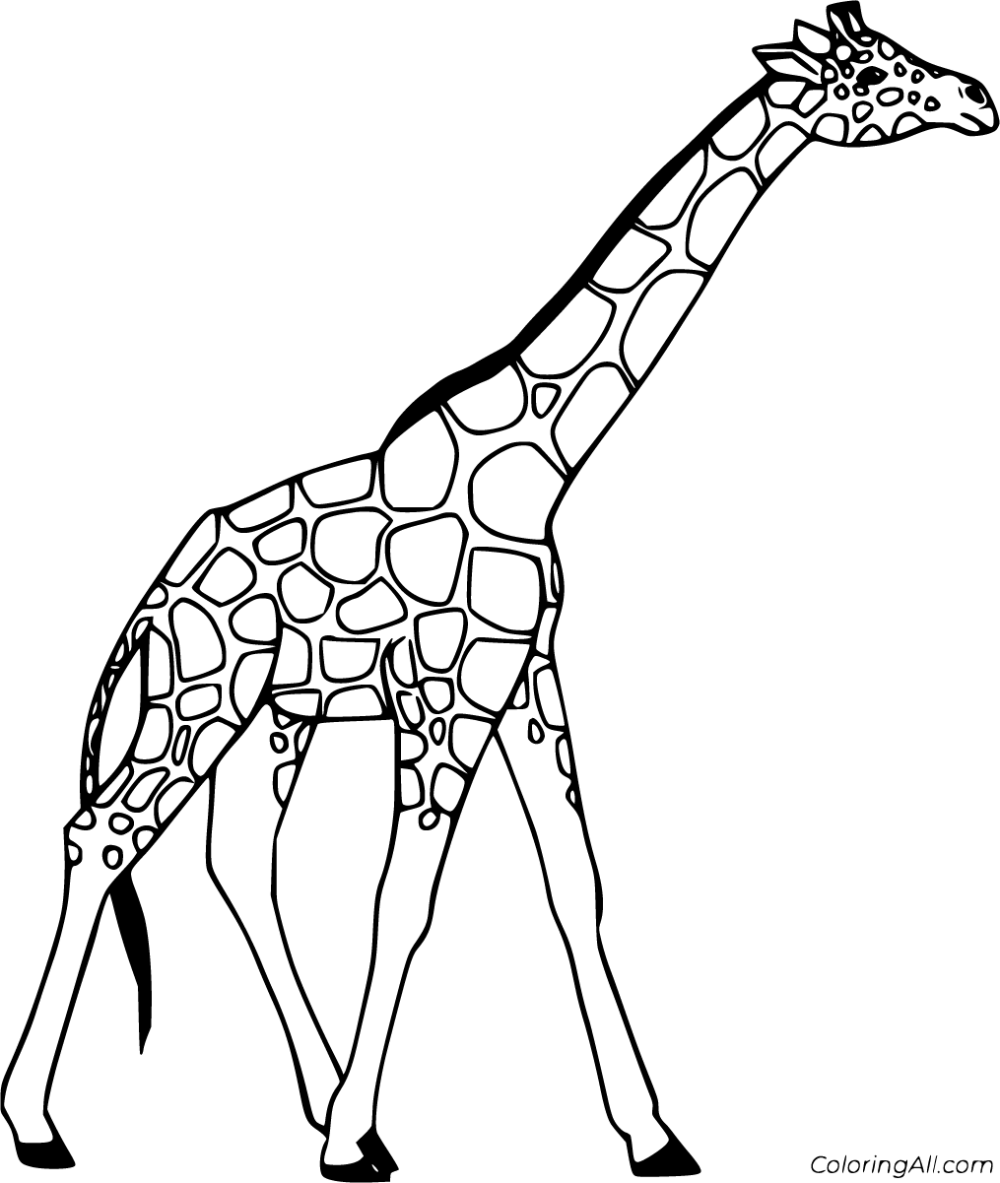 Realistic giraffe coloring pages giraffe coloring pages giraffe coloring pages