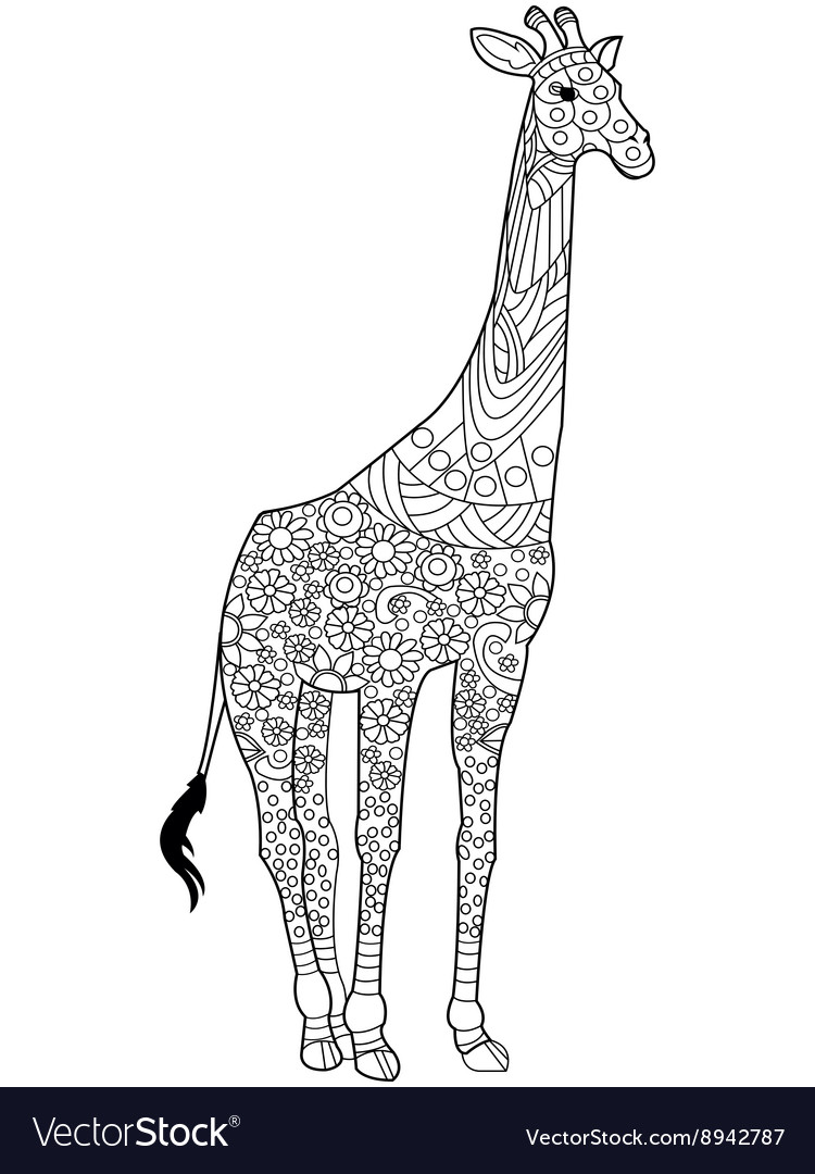 Giraffe coloring book for adults royalty free vector image