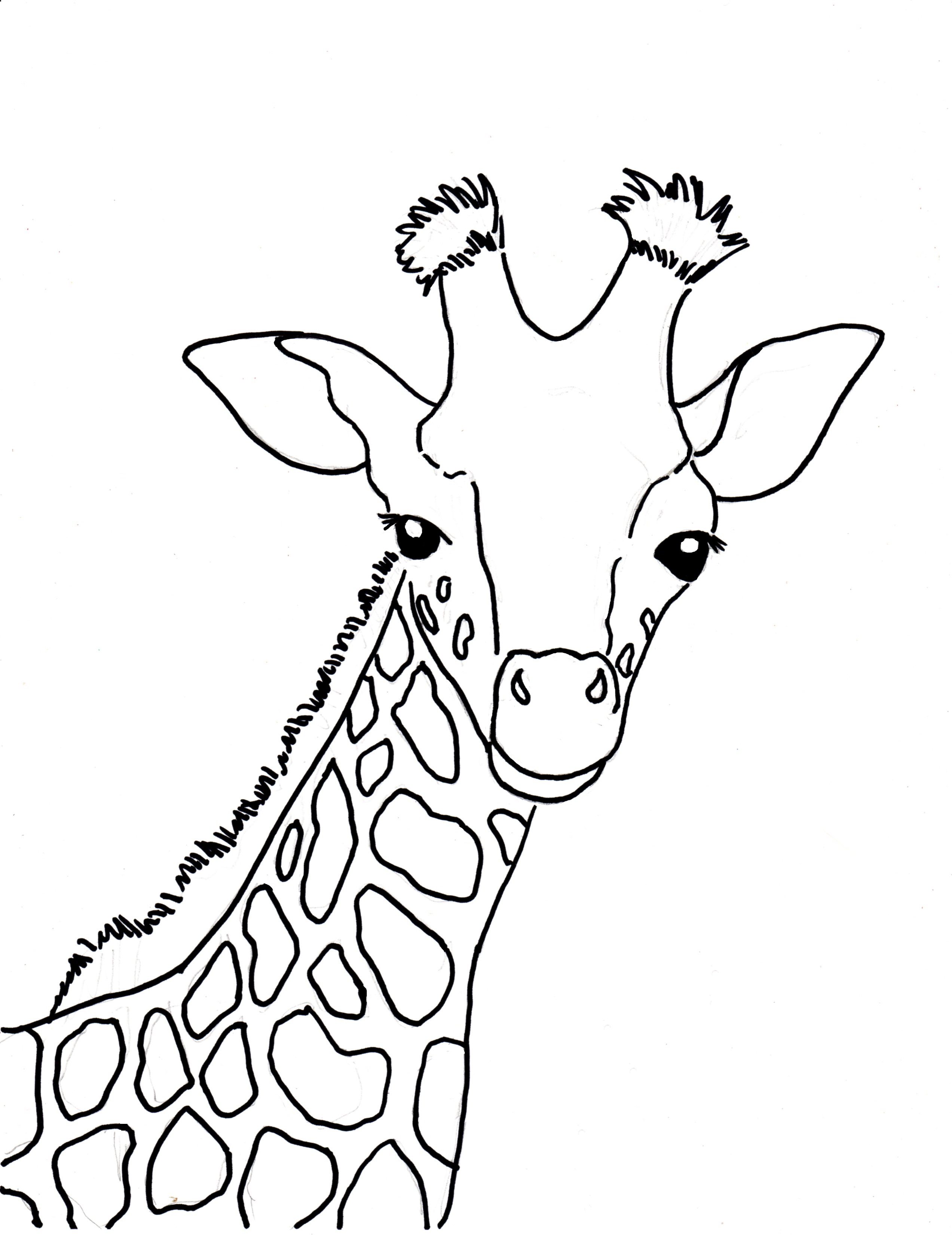 Baby giraffe coloring page