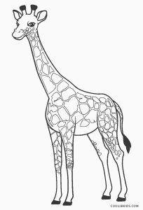 Free printable giraffe coloring pages for kids coolbkids giraffe coloring pages giraffe pictures giraffe drawing