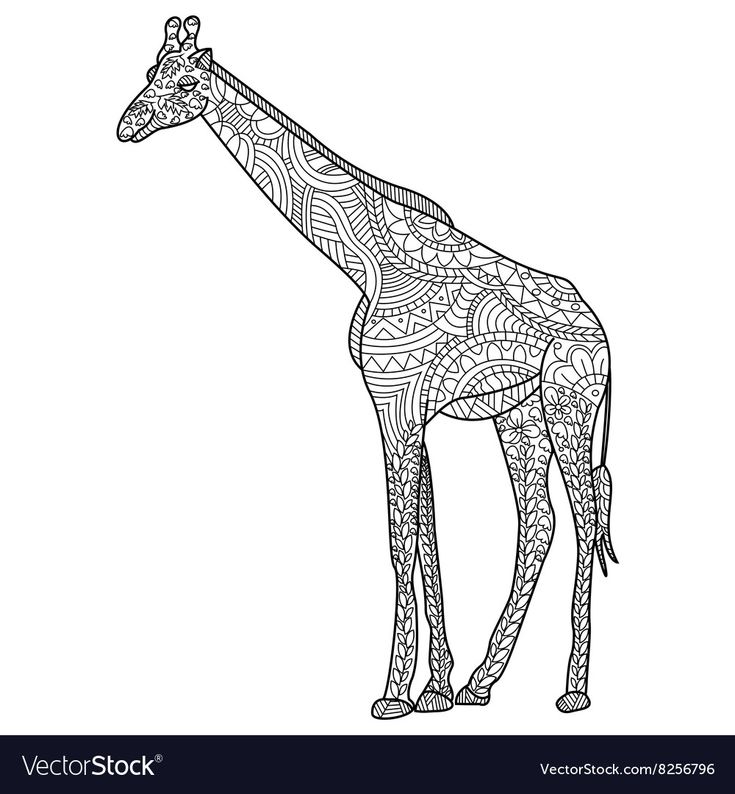 Giraffe coloring for adults vector image on vectorstock in giraffe coloring pages giraffe tattoos cartoon giraffe