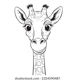 Giraffe color stock photos and pictures