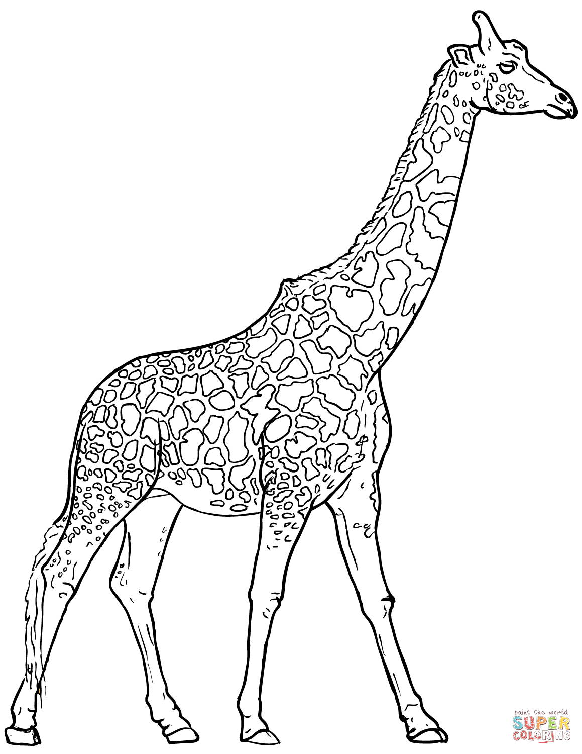 Realistic giraffe coloring page free printable coloring pages