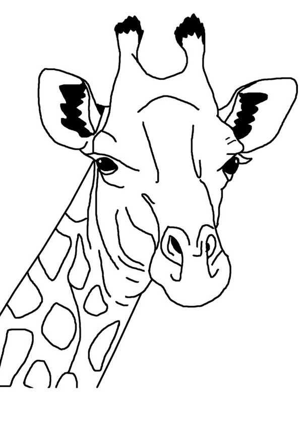 Coloring pages printable giraffe coloring sheet for kids