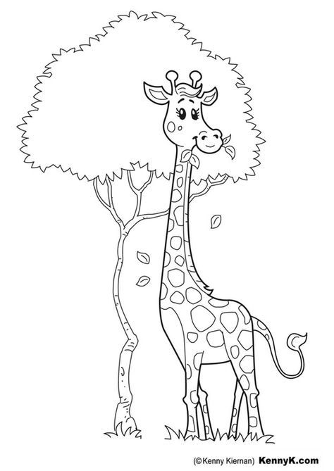 Coloring page giraffe giraffe coloring pages zoo animal coloring pages animal coloring pages