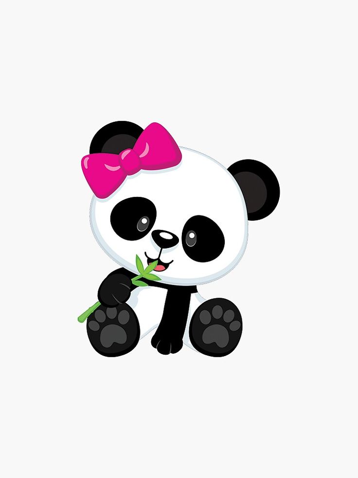 Download Free 100 + girly cute panda Wallpapers