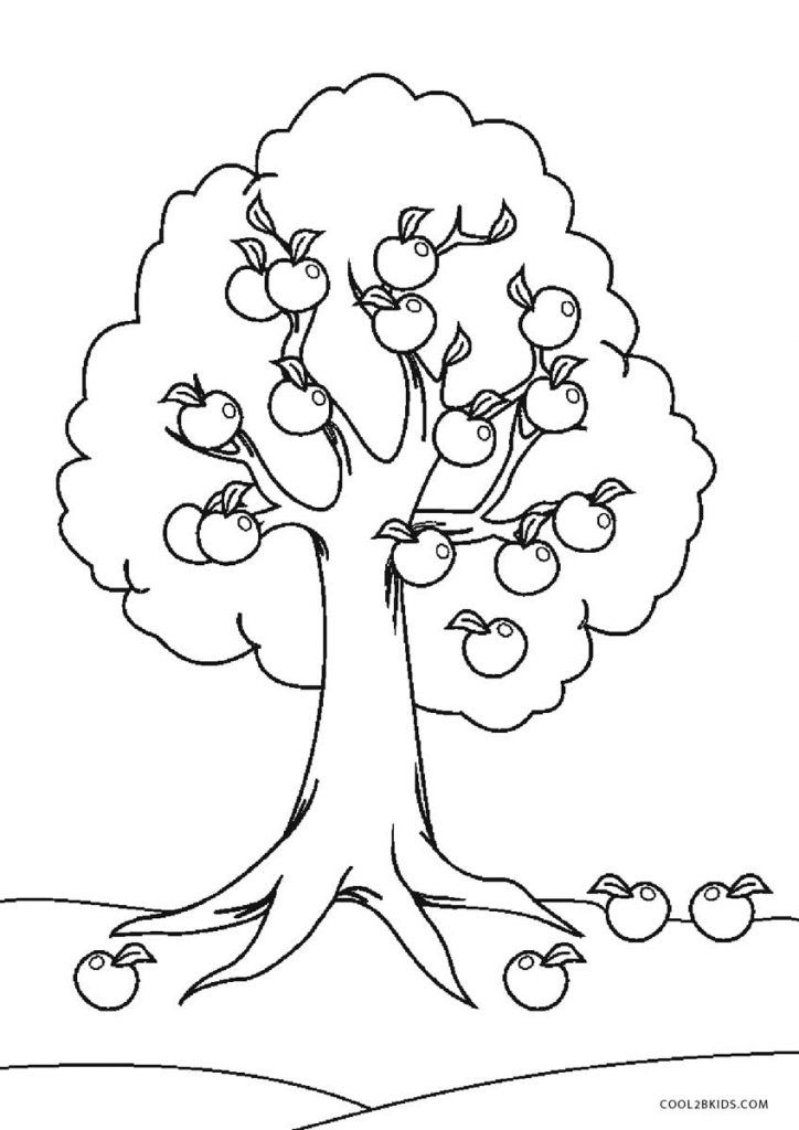 Ee printable tree coloring pages for kids coolbkids tree coloring page fall coloring pages coloring pages