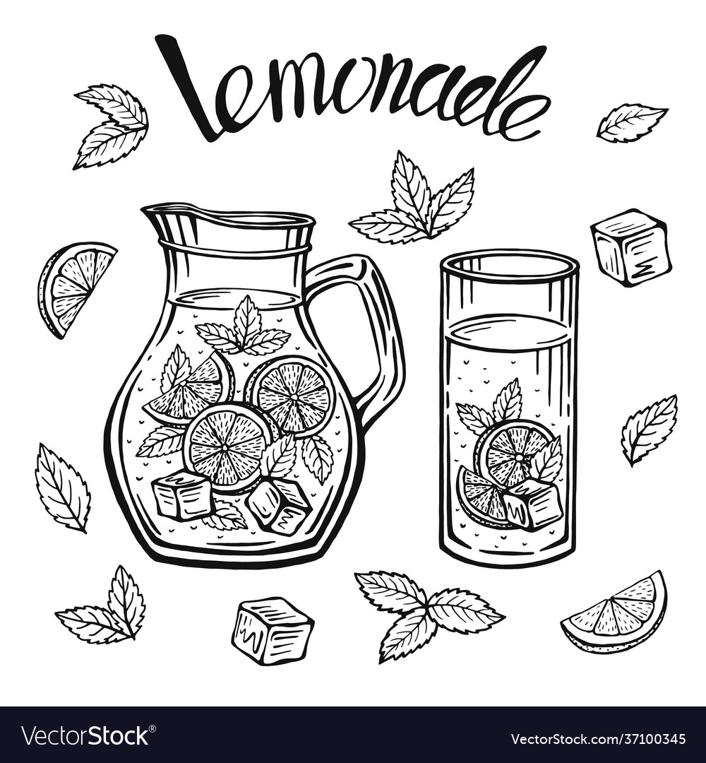 Glass jug with lemonade sketch homemade royalty free vector