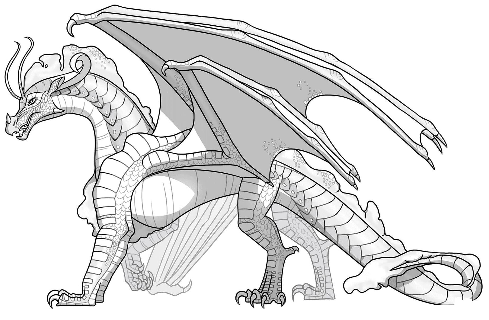 Wings of fire coloring pages