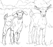 Goats coloring pages free coloring pages