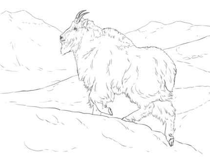 Realistic mountain goat coloring page supercoloring coloring pages mountain goat realistic