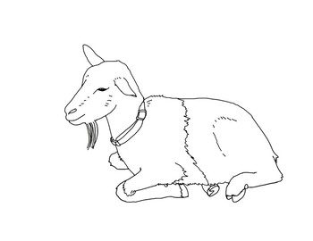 Nigerian dwarf goat coloring page by mama draw it tpt