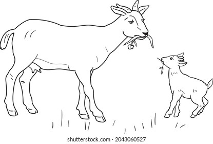Goat colouring stock photos and pictures
