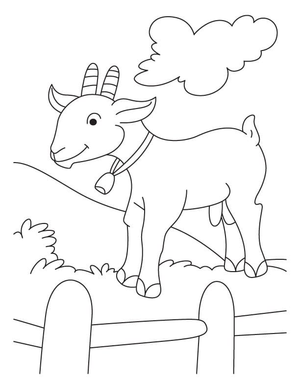 A cute goat coloring page