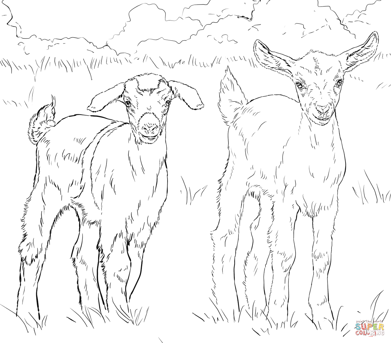 Goat coloring pages printable for free download