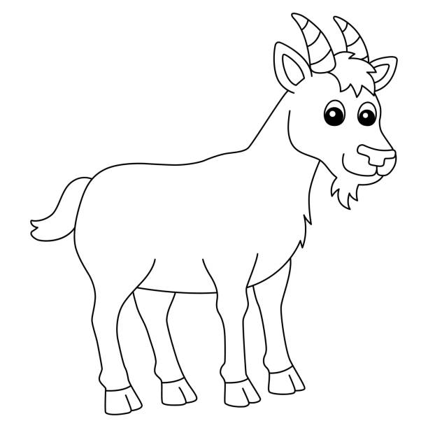 Goat coloring pages stock illustrations royalty