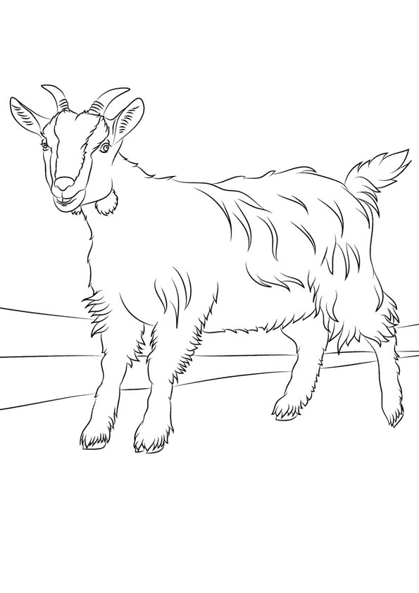 Coloring pages sitting goat coloring pages