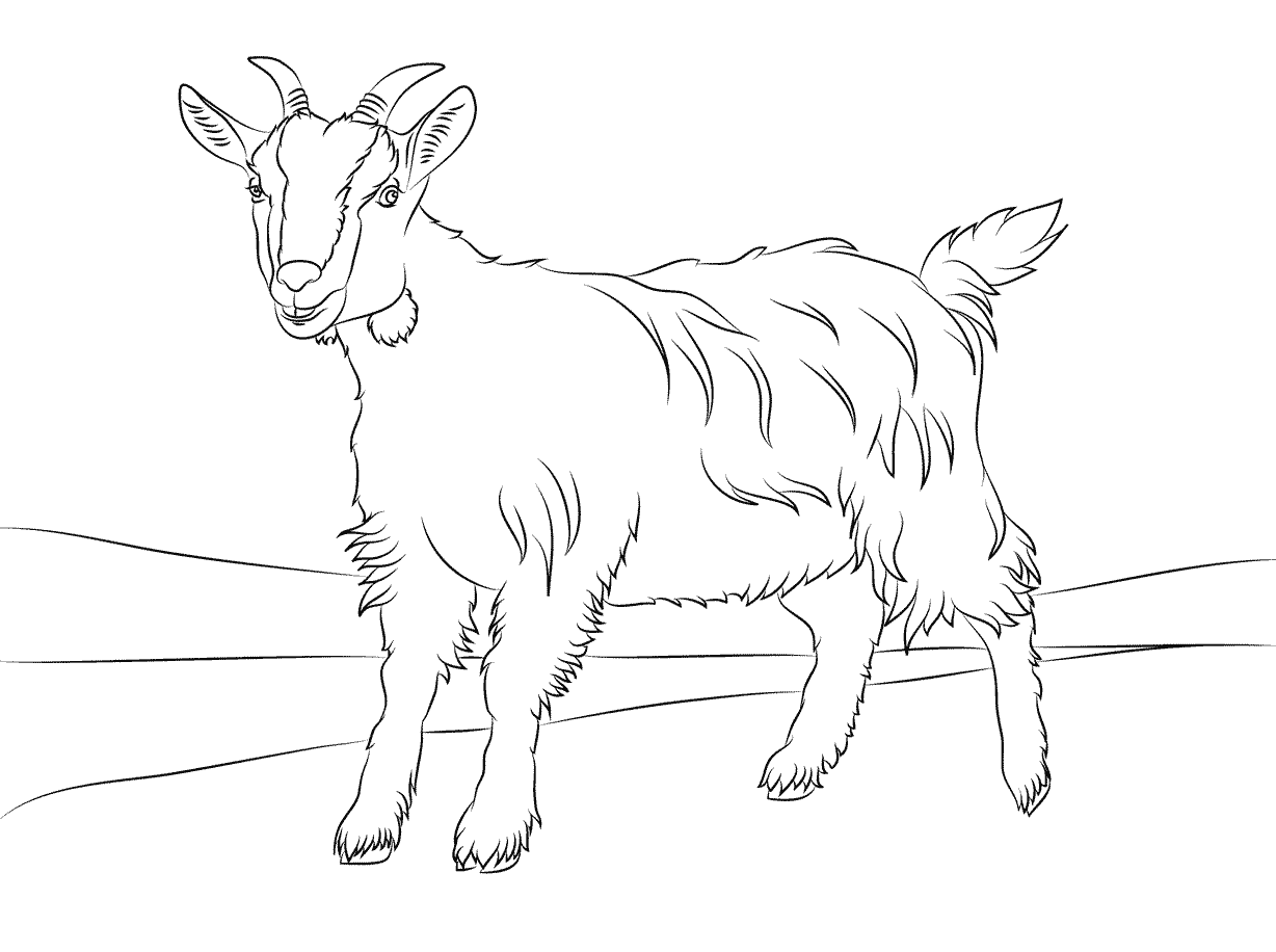 Free printable goat coloring pages for kids animal coloring pages cute goats coloring pages for kids